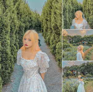 tài khoản Lightroom full màu miễn phí